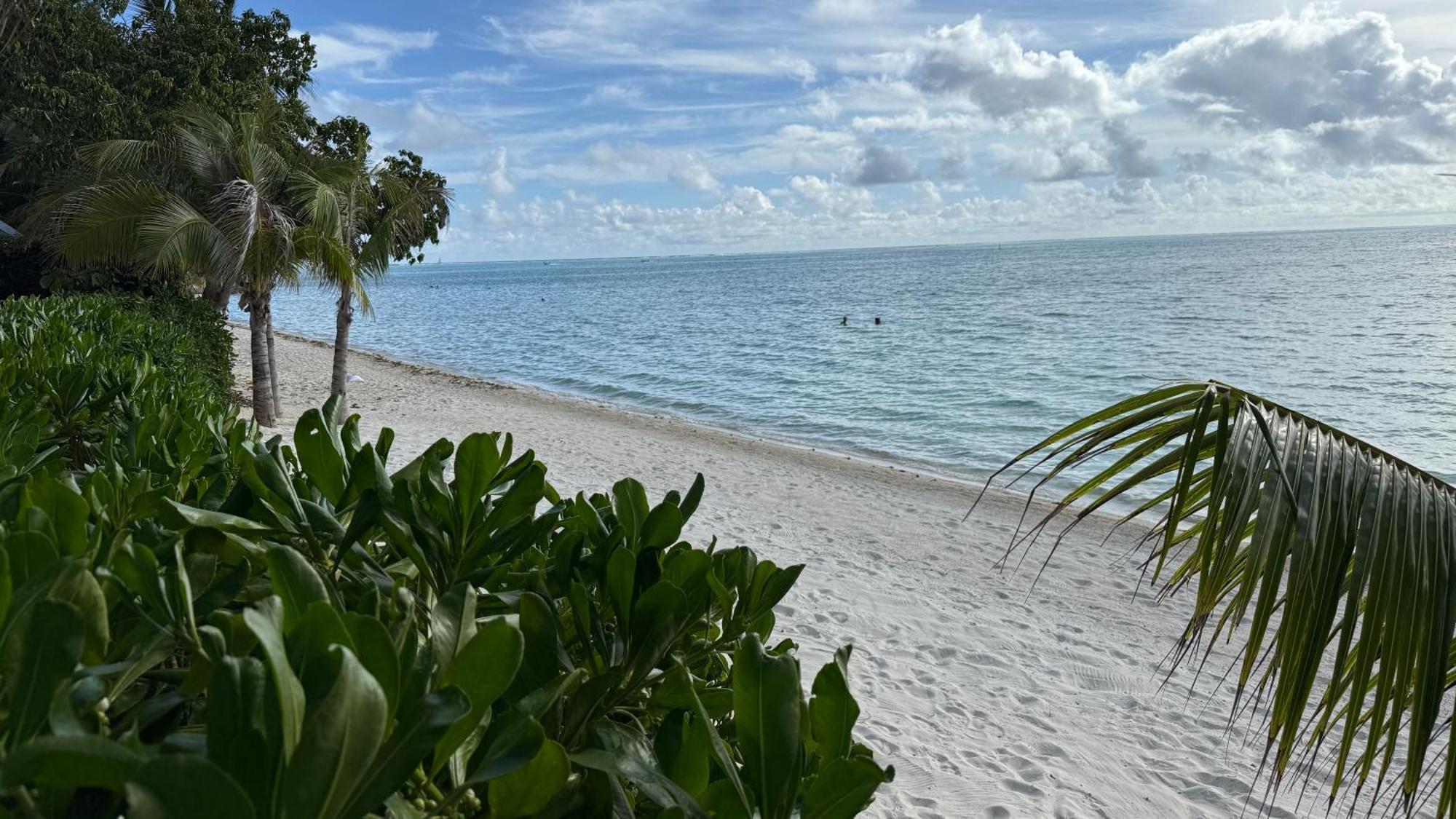Blue Lagoon - Terrace View & Beach Access - Free Wifi Parking - Bora Bora Dream - Special Offer Exterior photo
